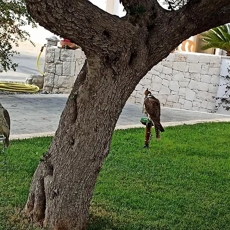 Apartment I Cinque Ulivi *